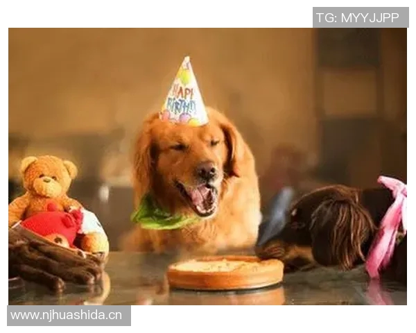 张伯霖分享摇篮舞庆祝喜讯家中爱犬迎来两只可爱小狗出生 张伯霖分享摇篮舞庆祝喜讯家中爱犬迎来两只可爱小狗出生