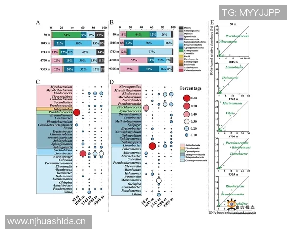 海史密斯缺席八周但更衣室领导力成留队关键因素 海史密斯缺席八周但更衣室领导力成留队关键因素